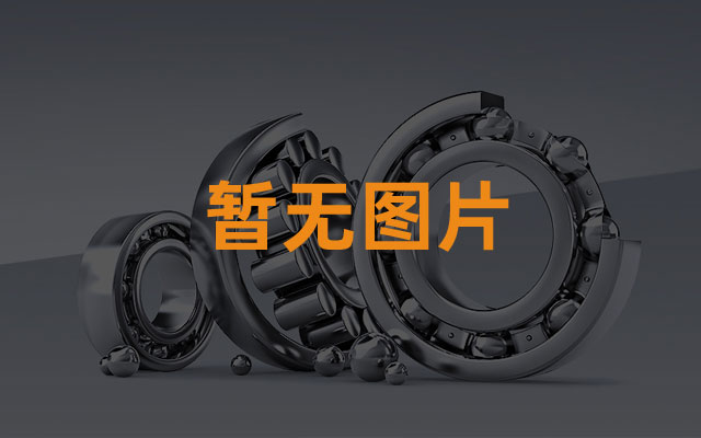 斯凯孚中国创新峰会暨新产品发布会