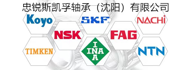 NSK轴承风力发电机系列-长春NSK轴承总代理